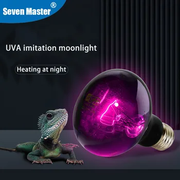 Hüllő UVA hőlámpa izzó kisállat teknős gyík kígyó Lguanas számára Az UV szimulálja a holdfényt E27 élőhelyvilágító spot lámpák éjszaka